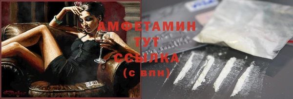 ГАЛЛЮЦИНОГЕННЫЕ ГРИБЫ Балахна