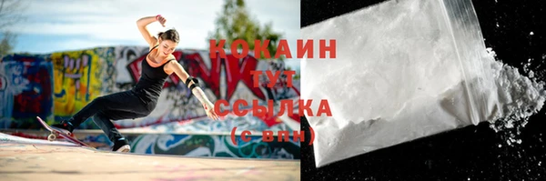гидра Арсеньев