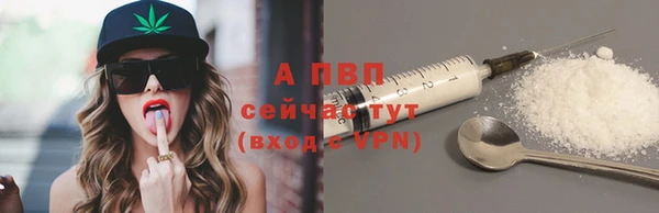 гидра Арсеньев