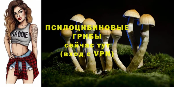 mdpv Балабаново