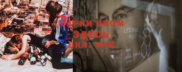 ГАЛЛЮЦИНОГЕННЫЕ ГРИБЫ Балахна